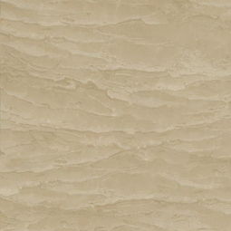 智聯(lián)陶瓷大理石瓷磚產(chǎn)品發(fā)布會(huì)在京舉辦